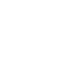 CastInk